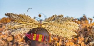 Краса чи потворність?.