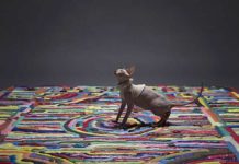 Східні мотиви і яскраві фарби з килимом Showdown.