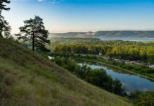 У Росії маринують огірки, буряк і колишніх лідерів.