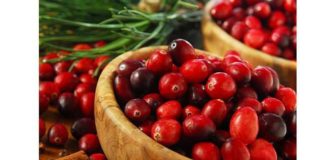 Про користь журавлини з США вперше розповіли в Росії.