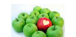 Яблука – продукти молодості.