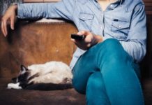 Перегляд відео з котами володіє терапевтичним ефектом.