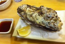 У Південній Австралії фермер вирощує гігантські устриці.