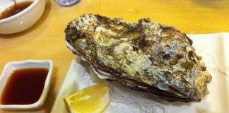 У Південній Австралії фермер вирощує гігантські устриці.