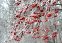 Крижаний дощ.