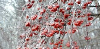 Крижаний дощ.