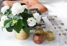 Інтерєр шведської квартири.