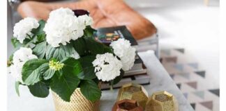 Інтерєр шведської квартири.