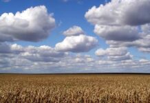 Небо падає?.