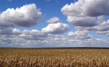 Небо падає?.