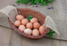 Що зявилося раніше: курка чи яйце?.