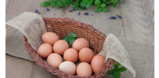 Що зявилося раніше: курка чи яйце?.