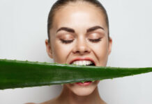 Алое: корисні властивості чудо-рослини