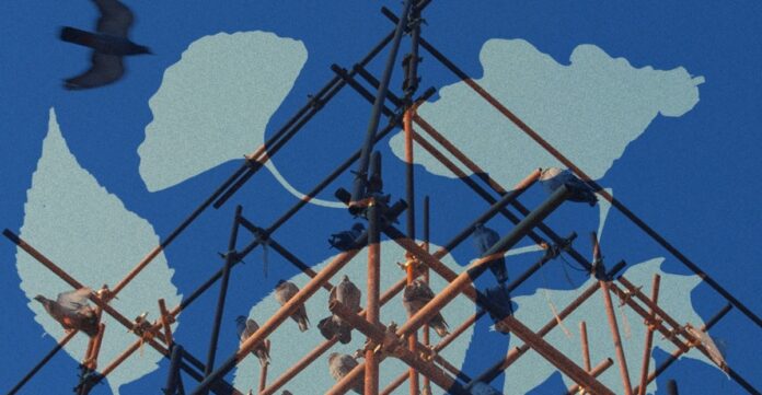 7c726157-a83c-4341-89fa-b17b767aa36b