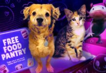 Гарні перемоги: 8 найяскравіших моментів в Інтернеті в 2025 році