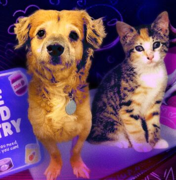 Гарні перемоги: 8 найяскравіших моментів в Інтернеті в 2025 році