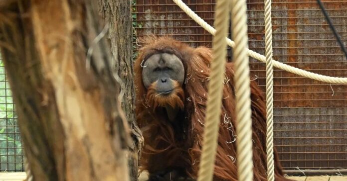 2bf4da0d-bb7a-47eb-b133-8421dd47f1e9