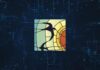 Smart Bird ID: Посібник із застосування для визначення птахів за допомогою ІІ